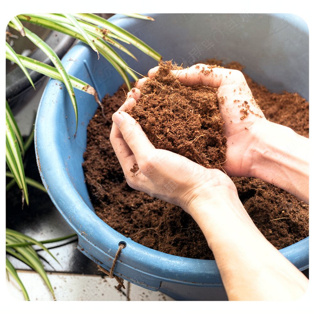 High Absorption Coconut Coir S - Substrate Coconut Fiber recension och pris