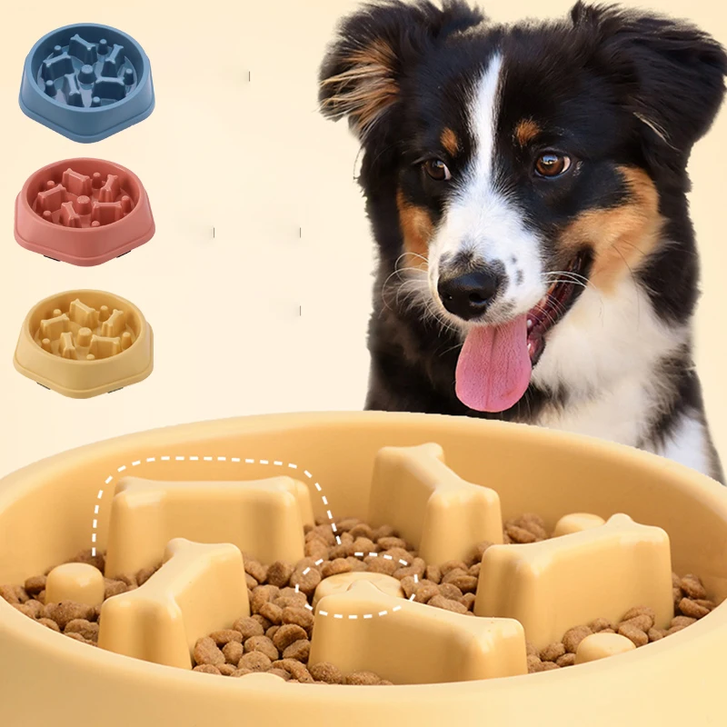Slow Feeder Dog Bowl Non Slip  - Royal Canin Food Medium recension och pris